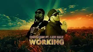 Bradamon Band - Working (Audio)