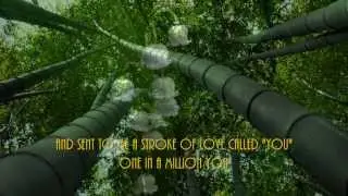 One In A Million You By Larry Graham With Lyrics