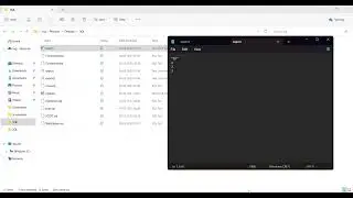 SQL Data export and send to other teams in project