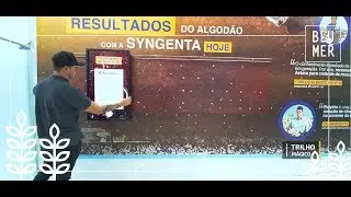 Blumer R8 Syngenta Trilho