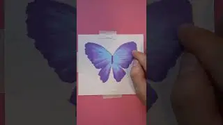 Oil pastel drawing-Glitter butterfly 