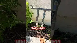 Which one is it? #homeinspector #activeplumbing #plumbing