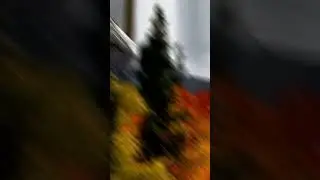 Нечто Прекрасное | #shorts