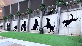 Downtown St. Louis Dog Mural Time Lapse