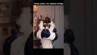 мем#мем#мемы#meme