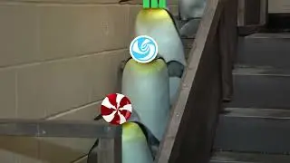 war is going to begin