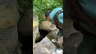 нашли дырку в земле, а там ( 1. Часть. полное видео в тг: Sy4tolog или по ссылке на YouTube )