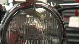 gail spot 3.mov