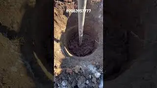 Зубастый шнек ! 