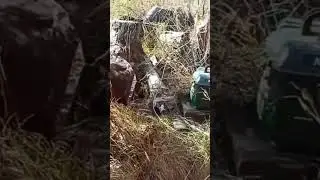 в тайге работаем