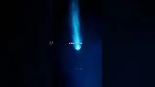 Summertime sadness sad lyrics full screen WhatsApp status | 