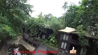 Приехал на острова.А там куча ВАРАНОВ!!!/Остров Реданг