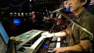 愛と欲望の日々 / サザンオールスターズ [Cover]