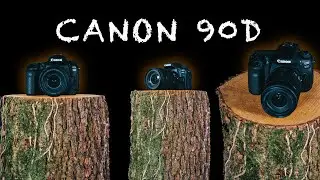 CANON 90D RECENDSIONE E PROVE DI SCATTO! (ITA)