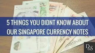Lifestyle Finance: 5 things you didnt know about our singapore currency notes