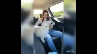 ЗДРАВСТВУЙТЕ КИСКИ