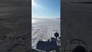 Зимник