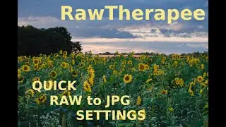 RawTherapee: important settings for turning RAW files into amazing JPEG images quickly