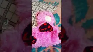 babi ile makkaj