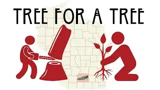 How Does Tree For A Tree Work