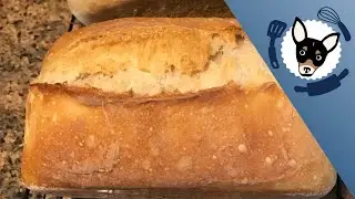 Sourdough Bread Recipe for Beginners