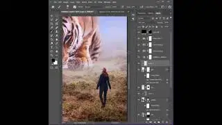 All Photoshop & Illustrator Tips & Tricks Users Should Know #photoshoptricks, #photoshophacks