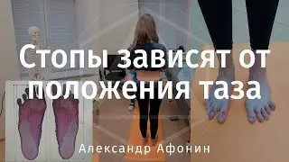 Feet and the slenderness of the legs depend on the spine and the position of the pelvis