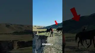 Расщелина поглотила жеребенка в ДАГЕСТАНЕ 😱⛰🐎