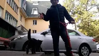 3 ТРЮКА НА САМОКАТЕ ДЛЯ НАЧИНАЮЩИХ
