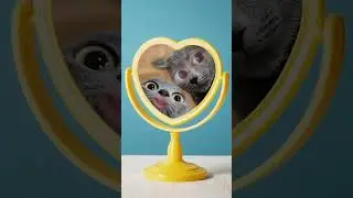 Он мяукает?!