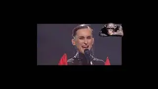 соловей