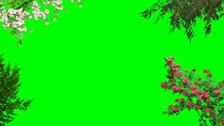 Flower Tree Effect Green Screen Video | Tree Green Screen Video