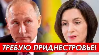 Санду требует Приднестровье! Писк молдавского комара!