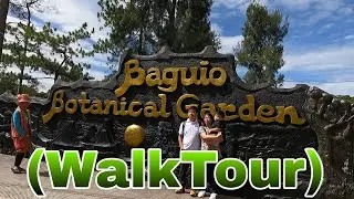 Baguio Botanical Garden 🏡🌹 | WalkTour 2024