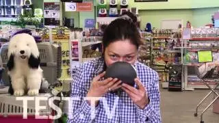 TEST.TV:Посуда для лучшего друга. Какая миска подойдет вашей собаке?