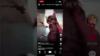 This car got some moves