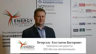Печерских Константин Викторович, Коммерческий директор ООО 