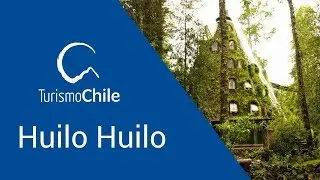 Huilo Huilo | Turismo Chile