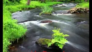 Free Hypnosis Sessions - Calm and Motivation