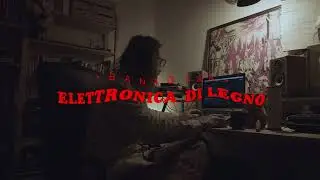 Banadisa - Elettronica di legno (1/2)