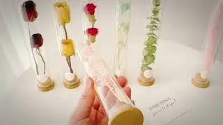 Glass Tube Preserved Flower