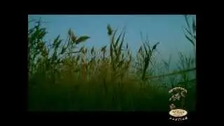 Duck Hunting Season 2011-2012 T&T Calls Bulgaria