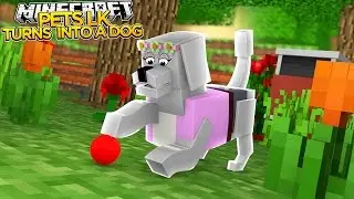 Minecraft Pets - LITTLE KELLY TURNS INTO A DOG!