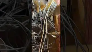 @MactelecomNetworks would never cut #network cables this short, would he?