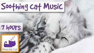 7 Hour Playlist to Calm Anxious and Restless Cats! Relaxation and Anti-Anxiety Music for All Cats!