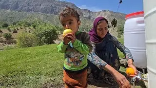 Nomadic Horizons: Discovering Iran's Nomadic Life, Ali's Cliffside Fence, and Gastronomic Delights