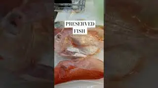 Stay Fresh Your Fish #fishtips #fishing #Preservedfish#shorts
