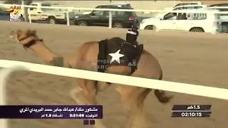 ملخص التمهيدي الأول للمفاريد صباح ٨-٨-٢٠٢٠