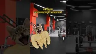 а вы занимаетесь спортом? 