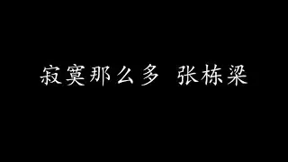寂寞那么多 张栋梁 (歌词版)